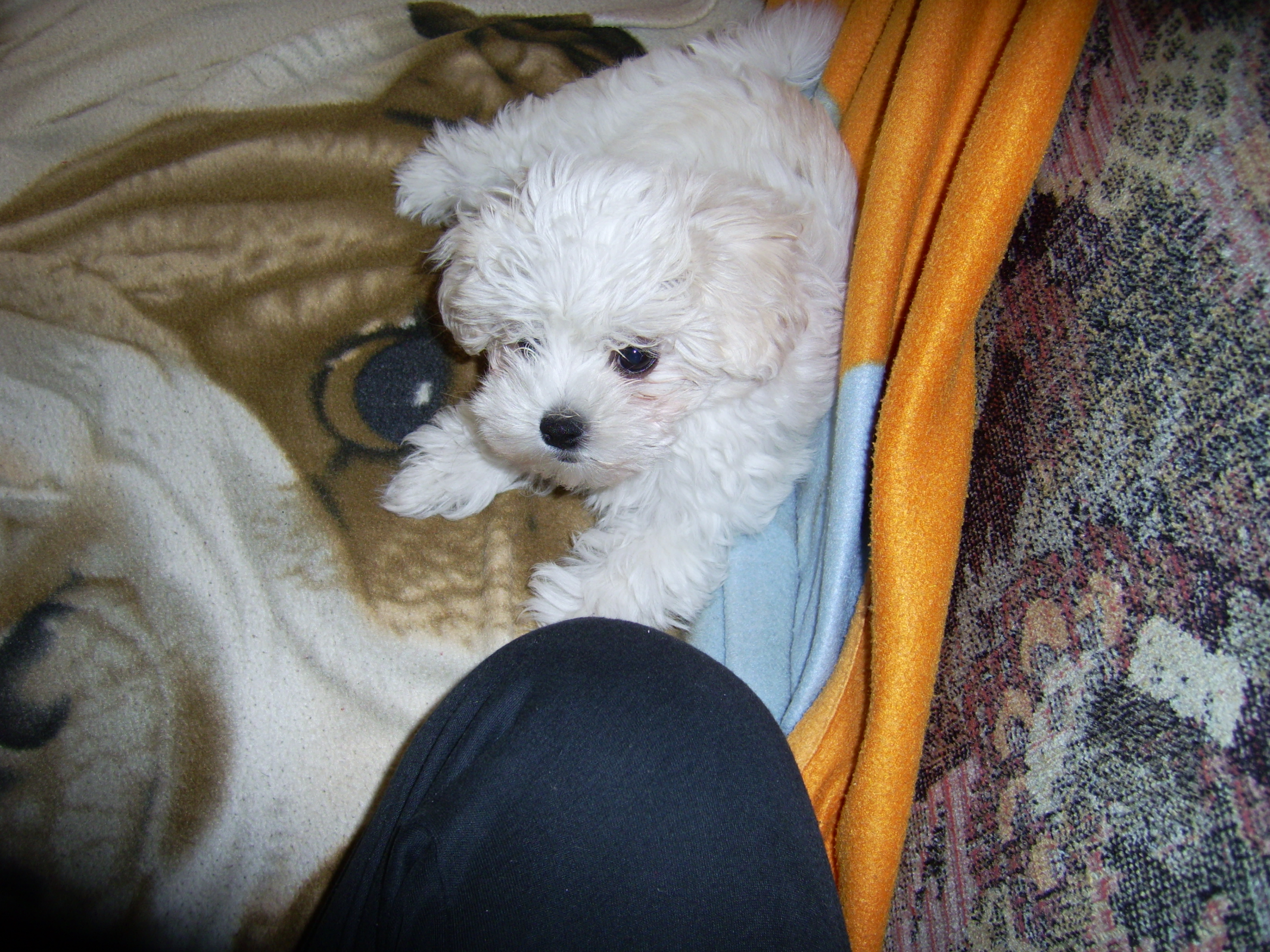 PIC_0112.JPG