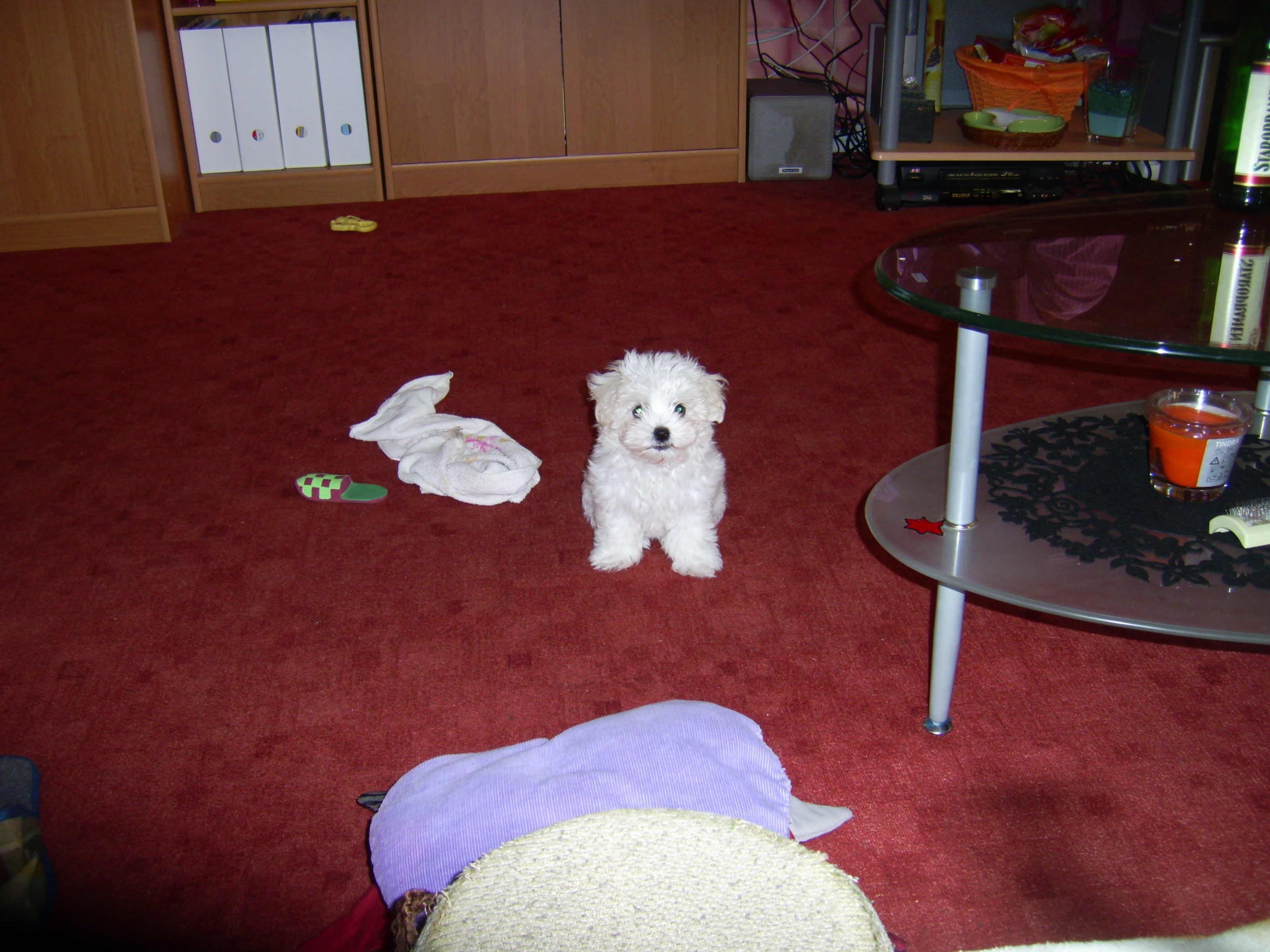 PIC_0116.JPG